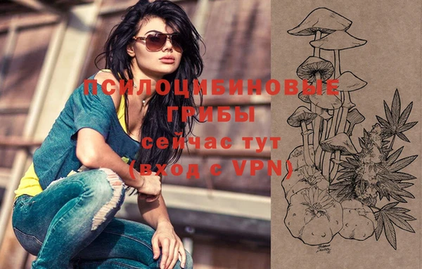 MDMA Premium VHQ Беломорск