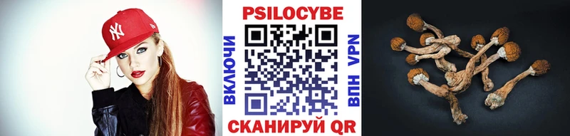 Галлюциногенные грибы Psilocybine cubensis  Чухлома 